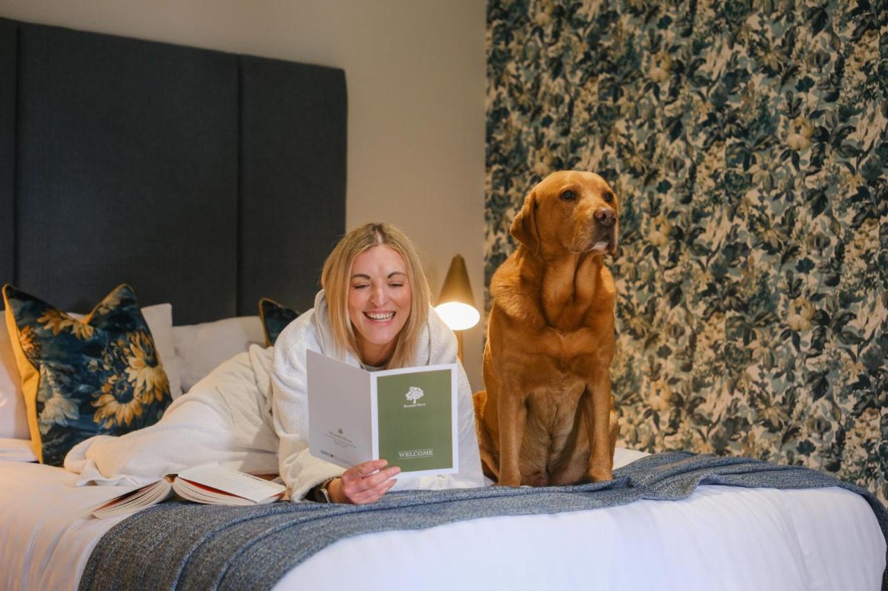 Mulberry House Guest House Ongar ภายนอก รูปภาพ