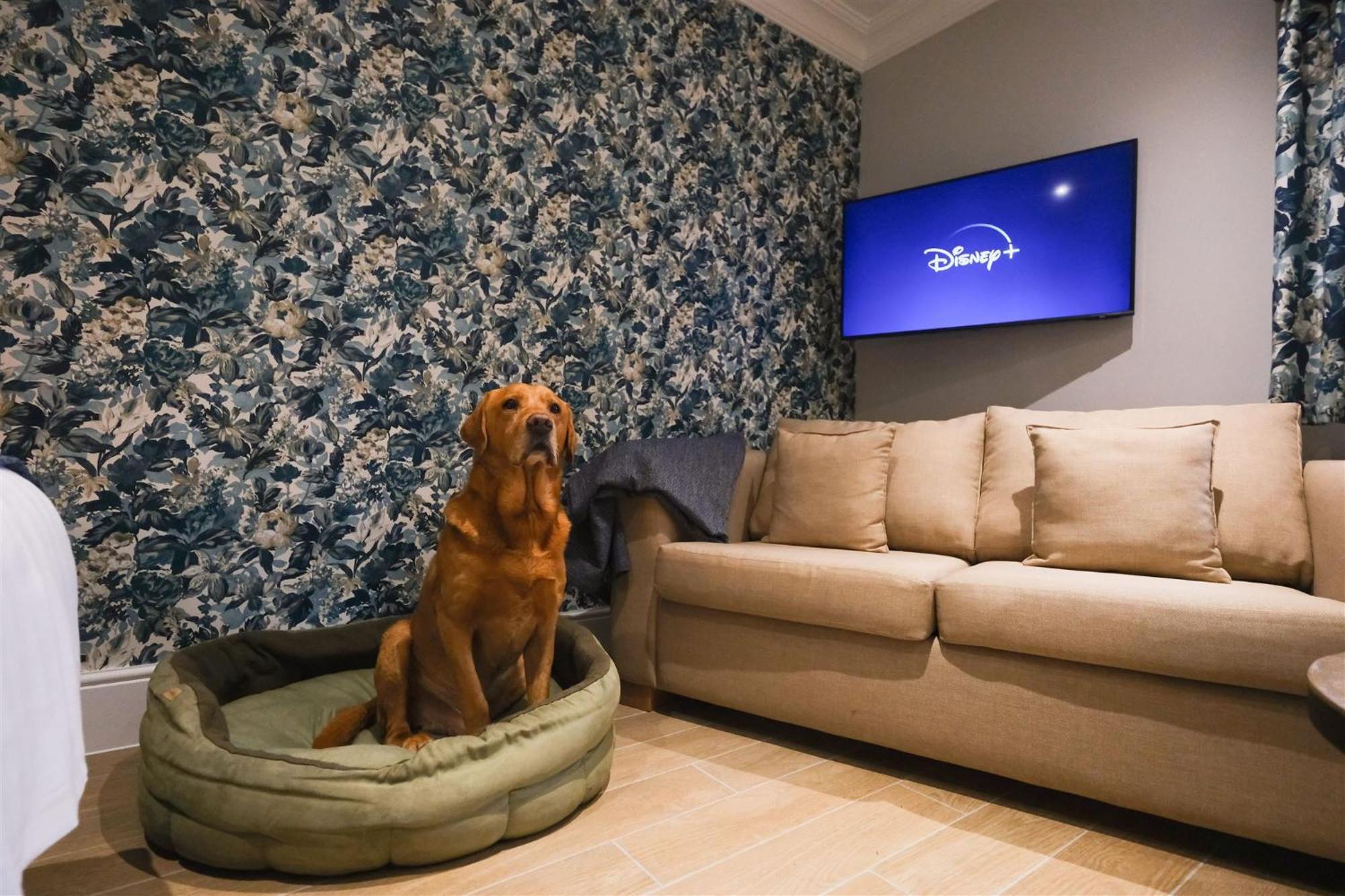 Mulberry House Guest House Ongar ภายนอก รูปภาพ